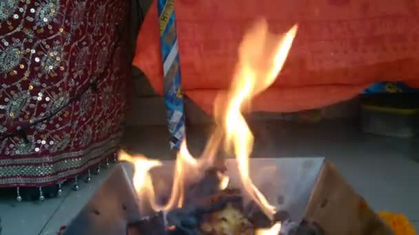 お祭りの際に火を焚く華山くん — ストック動画