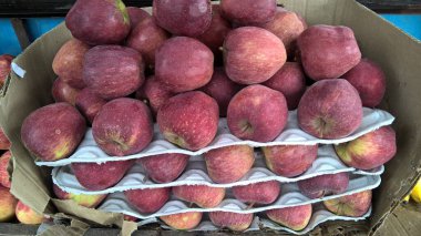 Elmaların manzarası iyi depolanmış