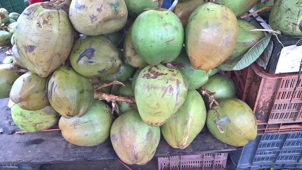 Coco Macio Verde Fresco Coco Cocos Nucifera Membro Família Das — Fotografia de Stock