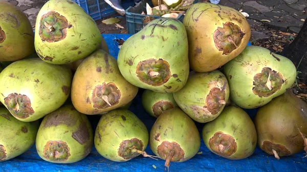 Coco Macio Verde Fresco Coco Cocos Nucifera Membro Família Das — Fotografia de Stock