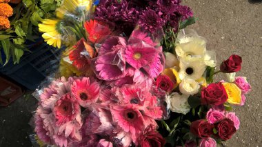 Renkli Gerbera çiçeğinin görüntüsü