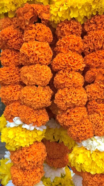 Vista Panorâmica Guirlandas Coloridas Compostas Por Flores Tagetes — Fotografia de Stock