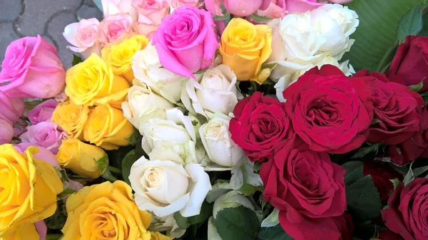 Живописный Вид Букет Розовых Цветов Многоцелевого Использования — стоковое фото