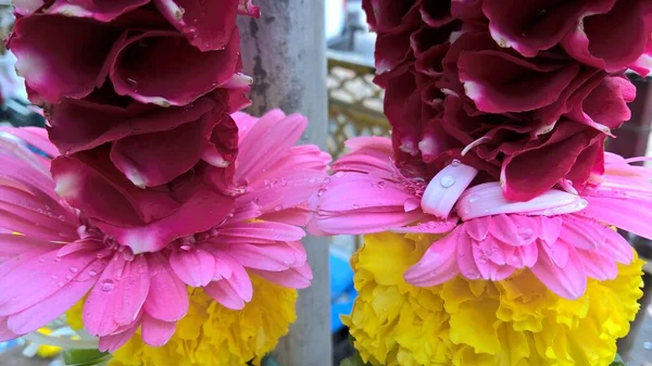 Vista Panorâmica Guirlandas Coloridas Compostas Por Flores Tagetes — Fotografia de Stock