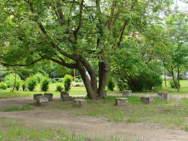 Quiet Place City Park — Stock Photo, Image