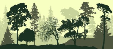 2d Vektör illüstrasyonu. Siste ağaçlar. Ormanın derin sisi. Bitkiler ve yapraklarla kaplı tepeler. Ağaçlar ve yiyecekler. Muhteşem bir manzara. Ormanın derinliklerinde.