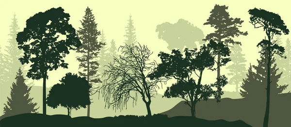 2d Vektör illüstrasyonu. Siste ağaçlar. Ormanın derin sisi. Bitkiler ve yapraklarla kaplı tepeler. Ağaçlar ve yiyecekler. Muhteşem bir manzara. Ormanın derinliklerinde.