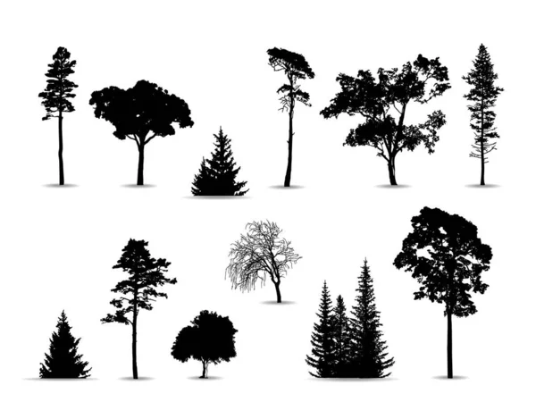 Silhouettes Noires Arbres Sur Fond Blanc Illustration Vectorielle — Image vectorielle