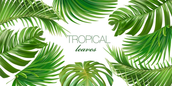 Векторные Горизонтальные Тропические Листья Баннеры Белом Фоне Экзотический Ботанический Дизайн — стоковый вектор