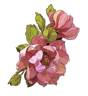 Vektör Bahar çiçek aranjmanı izole nesne çiçeği, kasımpatı, şakayık, manolya. Nazik çiçekler düğün şablonu. Tüm elementler izole ve düzenlenebilir.