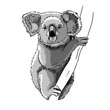 Ağaçtaki şirin Avustralya Koala Ayısı. Vektör çocuk illüstrasyonu.  