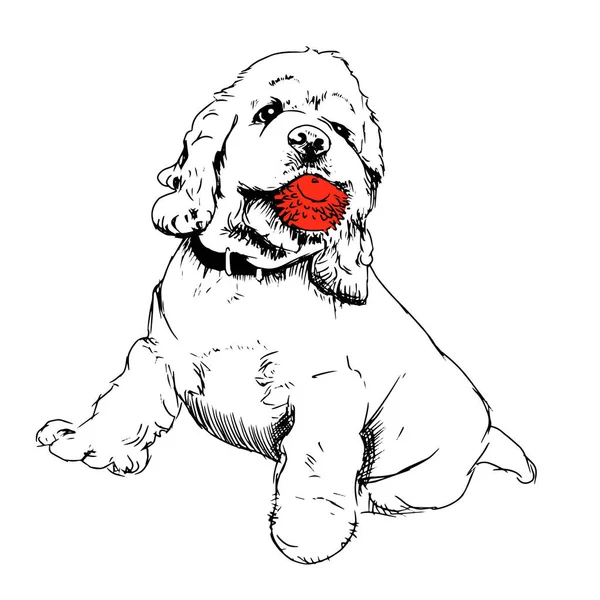 American Cocker Spaniel Cane Con Palla Carta Umoristica Composizione Shirt — Vettoriale Stock