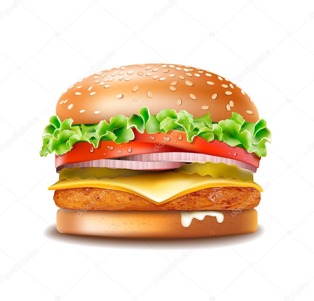 Vector Chicken burger isolated on white background 