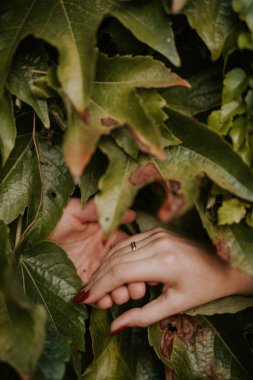 Kadın ve erkek el ve ağaç gölgesinde