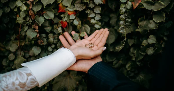 Anéis Casamento Para Noiva Noivo — Fotografia de Stock