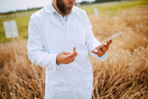 Detailní Záběr Tabletu Počítače Ruce Muž Kavkazský Technologik Agronomista Oblasti — Stock fotografie