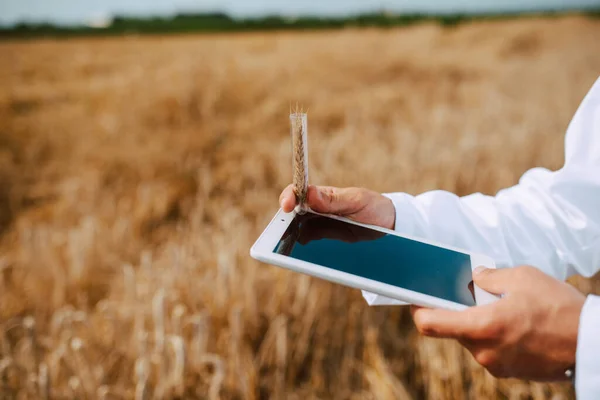 Detailní Záběr Tabletu Počítače Ruce Muž Kavkazský Technologik Agronomista Oblasti — Stock fotografie