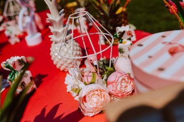 Güzel bir bahçede bekarlığa veda partisini kutlamak için ananas kokteylleriyle süslenmiş bir masa. Kızlar parti veriyor.