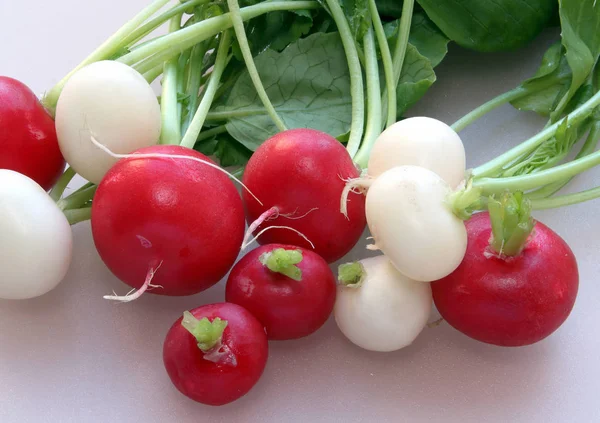 İlk doğal turp kırmızı ve beyaz