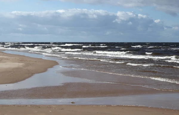 Riga Körfezi kıyılarında fırtına sonrası.