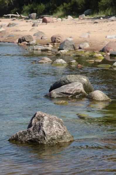 Riga Gulf coast Skulte yakınında. Letonya. Düşük tide sahilinde