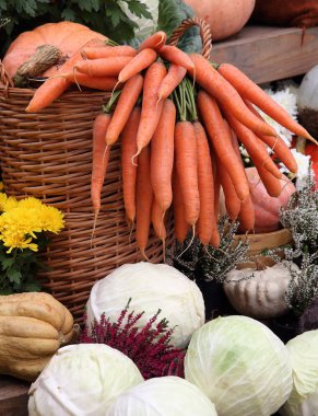 Taze, sulu havuç, lahana ve kabak çiftlik