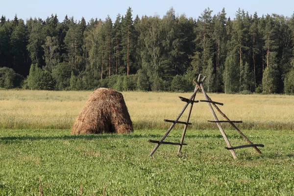 Rezekne city, Letonya yakınındaki kırsal kesimde güneşli yaz gün