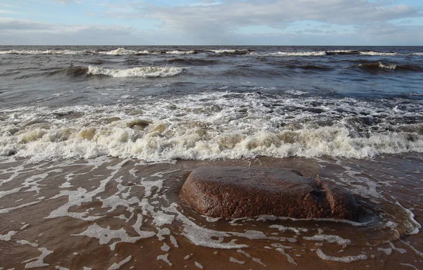 Riga Körfezi kıyılarında 