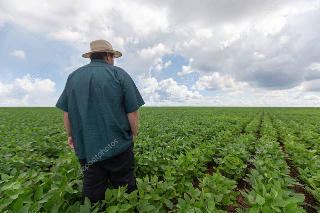 farmer walking over crop field with a beautiful sky on horizon