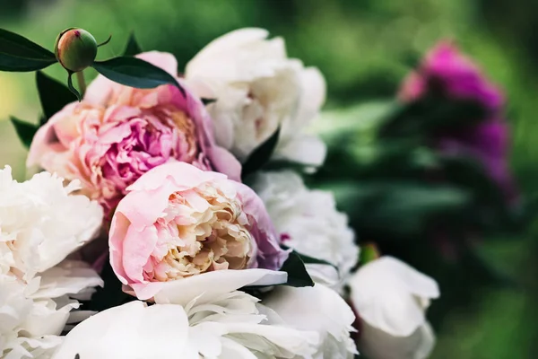 Florale achtergrond. Roze en witte pioenrozen patroon. Boeket van pioenrozen — Stockfoto