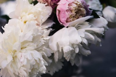 Çiçek arka plan. Pembe ve beyaz peonies desen. Peonies buket