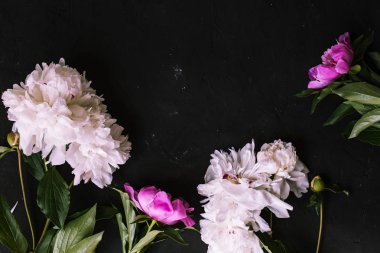 Siyah arka plan üzerine Peonies buket