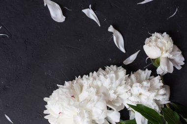 Siyah arka plan üzerine Peonies buket