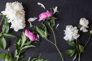 Siyah arka plan üzerine Peonies buket