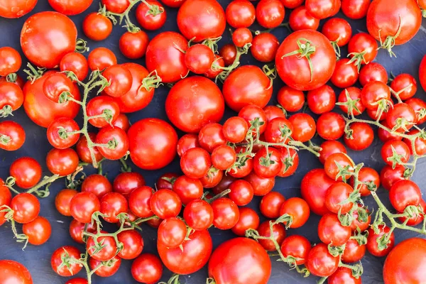 Raw tomatoes on black background. — Stock Photo, Image