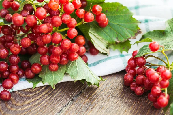 Bayas Viburnum con racimos. Viburnum sobre fondo de madera —  Fotos de Stock