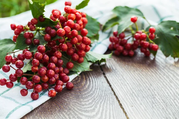 Viburnum berries with bunches. Viburnum on wooden background — Stock Photo, Image