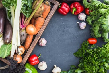 Taze sebze çeşitleri. Sağlıklı organik gıda konsepti