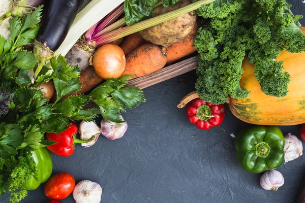 Асортимент свіжих овочів. Концепція здорової органічної їжі Стокове Зображення