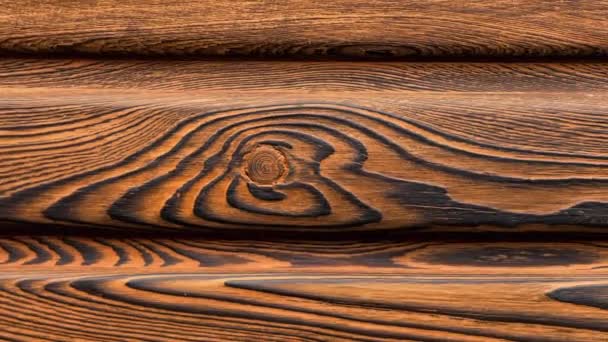 Textura de madeira vintage com nós. Vista para cima de perto. — Vídeo de Stock