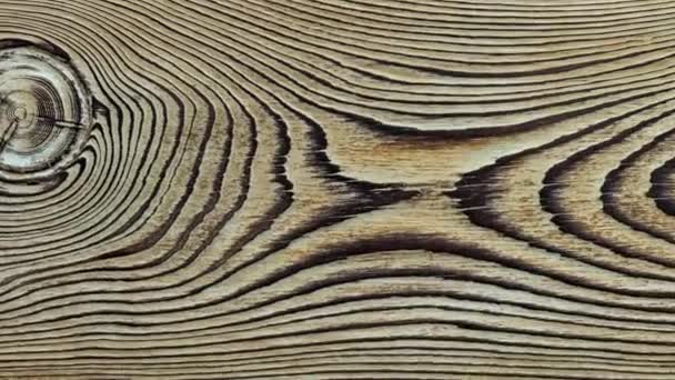 Klasyczna tekstura drewna z węzłami. Bliżej widoku. Wysokiej jakości materiał 4k — Wideo stockowe