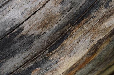 Çatlak ağaç gövdesinin soyut arkaplanı. Sanat eserleri için üst görünümü kapat.