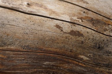 Çatlak ağaç gövdesinin soyut arkaplanı. Sanat eserleri için üst görünümü kapat.