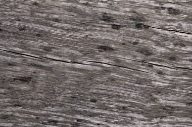 Yağmur damlaları olan eski ahşap yüzeyin soyut arkaplanı. Sanat eserleri için üst görünümü kapat.