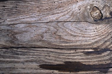 Eski ahşap yüzeyin soyut arka planı yağmurdan sonra ıslaktır. Sanat eserleri için üst görünümü kapat.