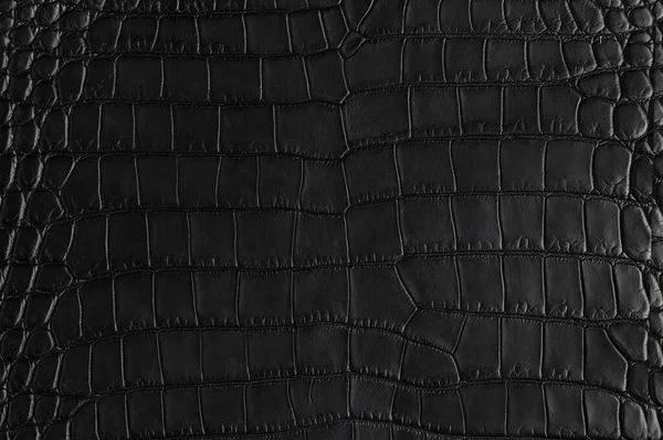 Closeup Textura Couro Preto Crocodilo Sem Costura Para Fundo — Fotografia de Stock