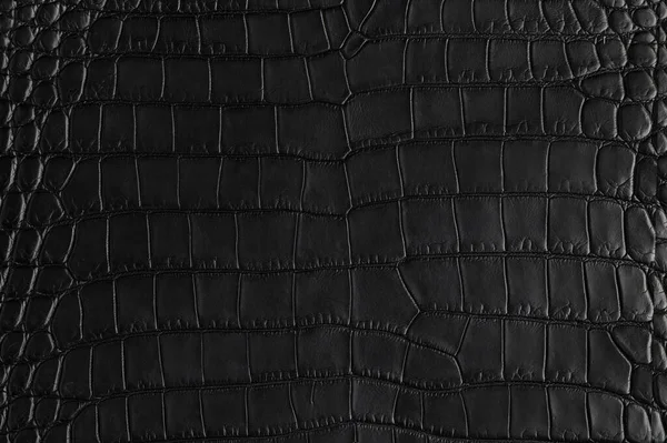 Closeup Textura Couro Preto Crocodilo Sem Costura Para Fundo Fotografias De Stock Royalty-Free