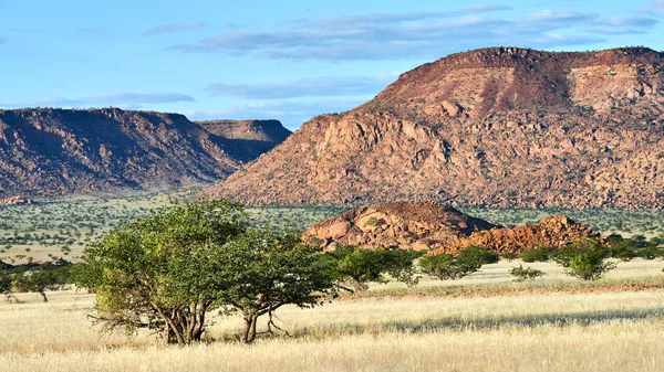 纳米比亚中部有树木和山脉的萨凡纳 — 图库照片