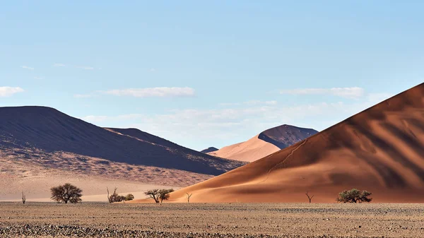 Bilde Den Vakre Namib Ørkenen Namibia Med Karakteristiske Røde Sanddyner – stockfoto