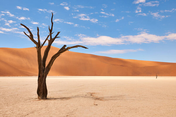 beautiful landscape in the Namib desert at Deadvlei
